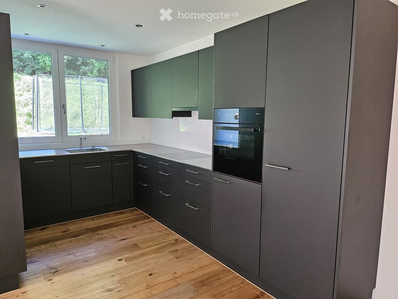 Modern kitchen with dark grey cabinets, wooden flooring, and stainless steel appliances including an oven and sink.