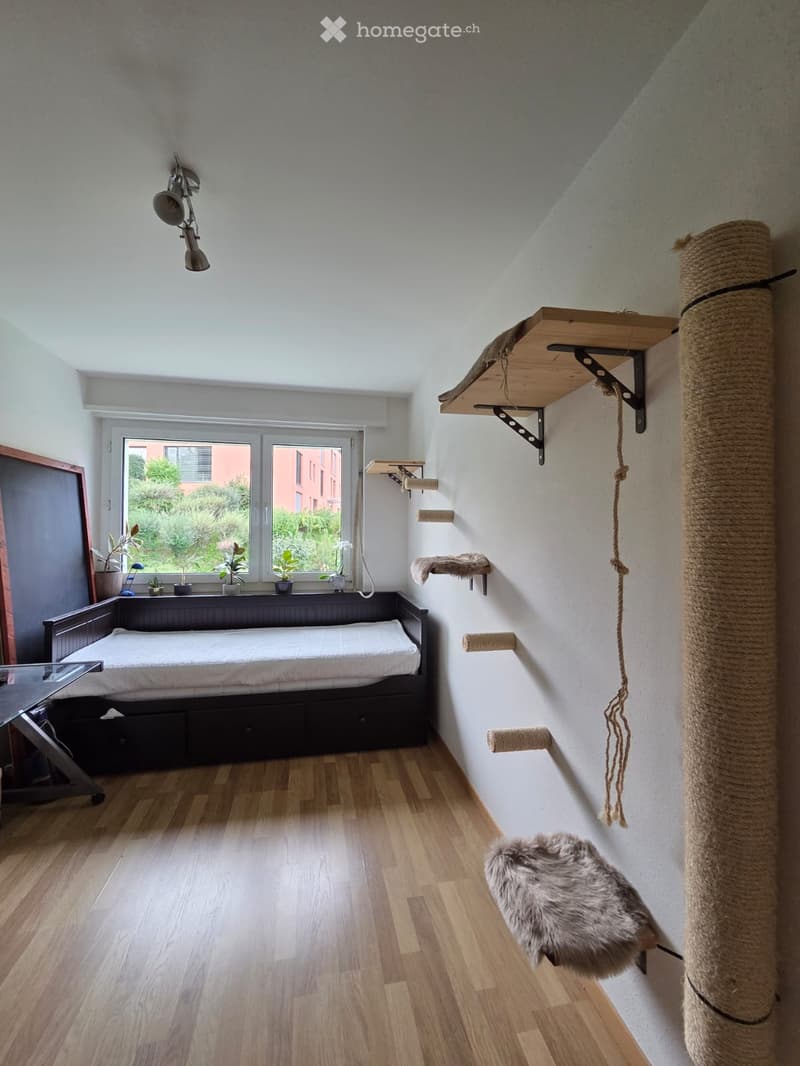 Cozy room with a bed, cat shelves, a cat tree, potted plants, and a small table and chair near the window.