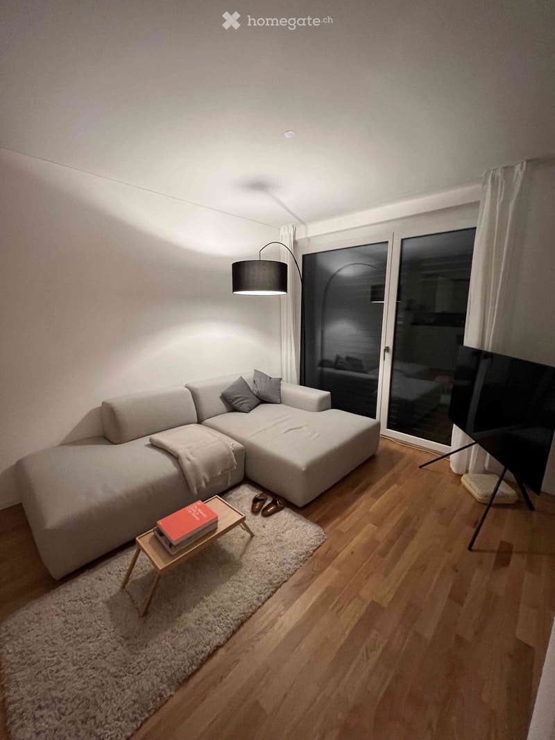 open plan living room, grey sofa, coffee table with books, glass door leading to balcony, television