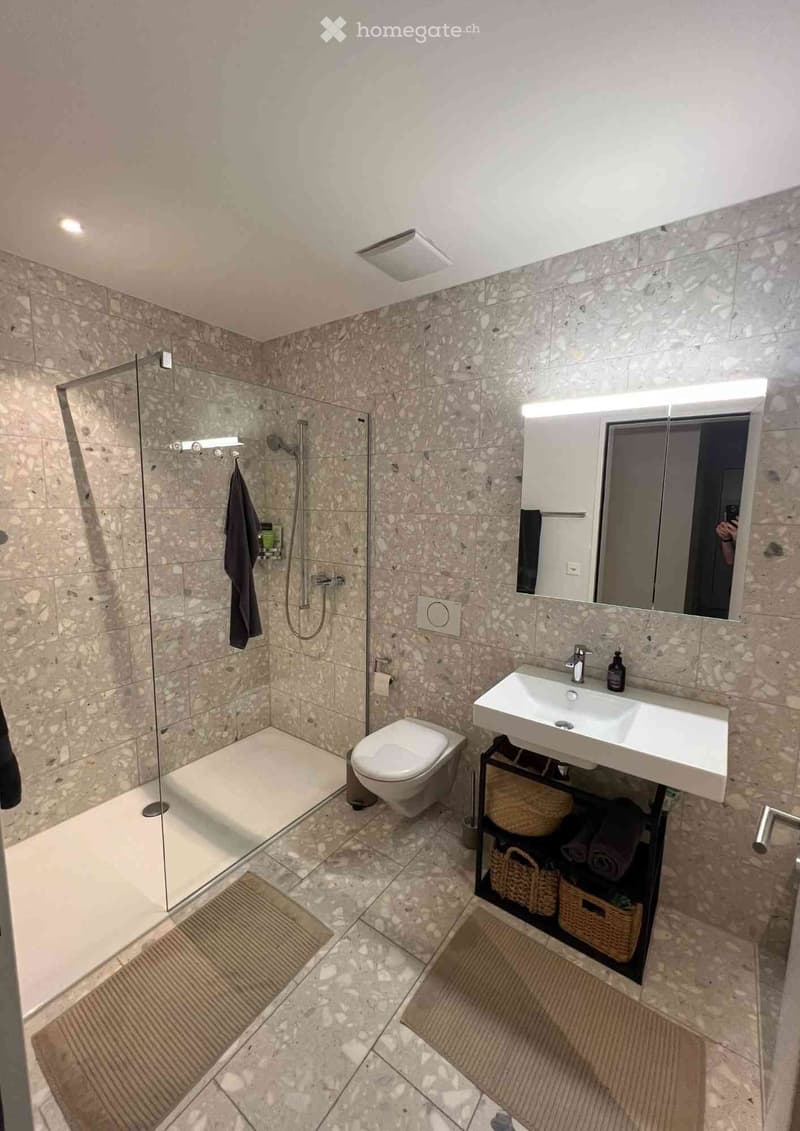 modern shower enclosure, toilet, mirror, sink, baskets, towels