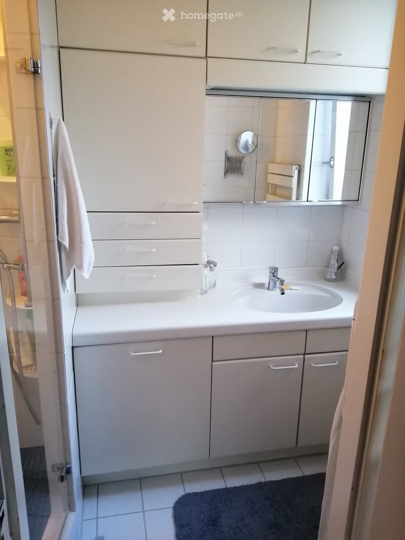 2 Rooms in a 4.5 room flat / 2 Zimmer in einer 4,5-Zimmer-Wohnung (9)
