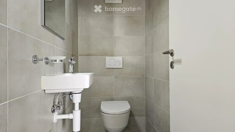 Modern bathroom with a white sink, chrome faucet, toilet, and a mirror on the wall.
