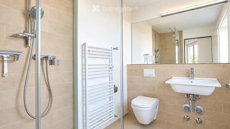 Modern bathroom with a glass-enclosed shower, a toilet, a sink, a large mirror, and a white radiator.