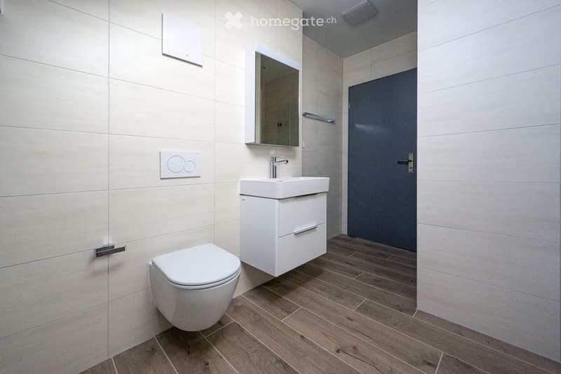 Modern bathroom with white tiled walls, wooden flooring, a toilet, a sink with a cabinet, and a mirror above the sink.