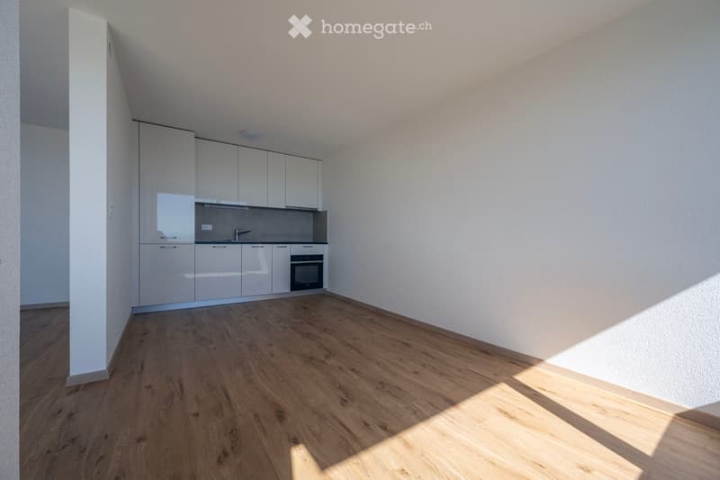 Empty kitchen with light grey cabinets, a sink, and an oven, featuring wooden flooring and white walls.