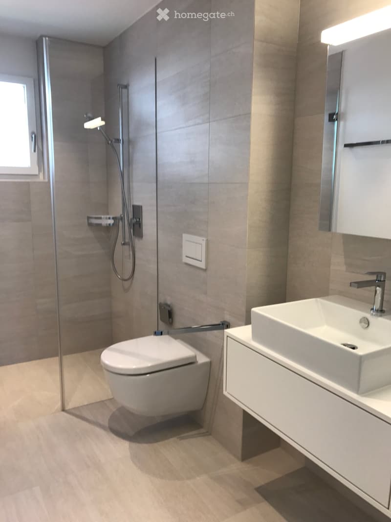 Modern bathroom with a toilet, sink, and shower area. Features include a white sink with a modern faucet, a sleek toilet, and a glass-enclosed shower with a handheld showerhead. The space has light-colored tiles and a wooden floor.