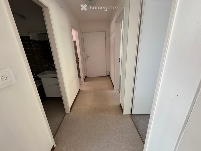 Empty hallway with beige carpet, white walls, and several doors leading to different rooms.