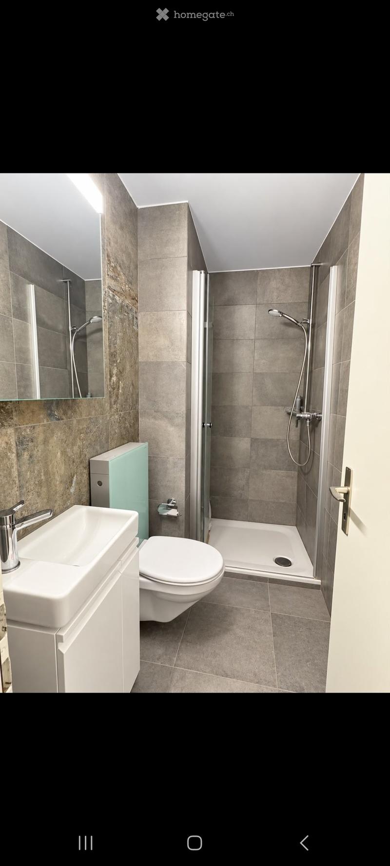 Modern bathroom with a white sink, toilet, and glass-enclosed shower. Features grey tiled walls and floor, a sleek faucet, and a mirrored cabinet.