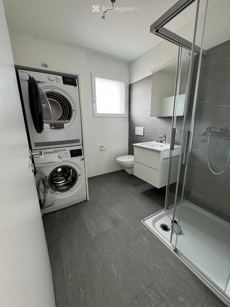 Modern bathroom with dark grey tiles, a white sink, toilet, and a glass-enclosed shower. A stacked washer and dryer unit is positioned on the left side.