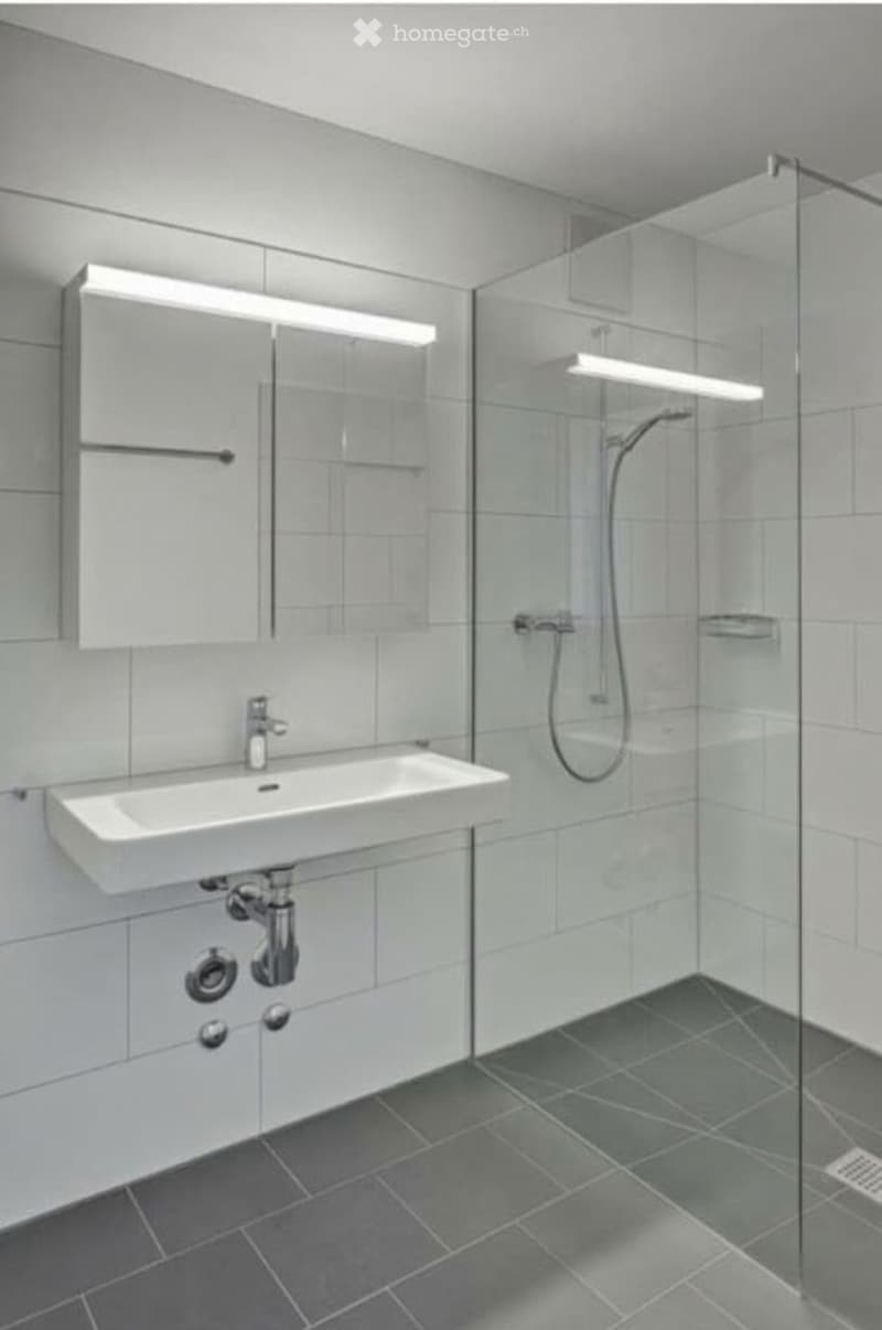 Modern bathroom with a white sink, mirror, and glass-enclosed shower area.