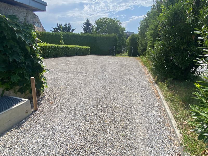 Gravel driveway bordered by greenery, leading to a gated area with trees and shrubs.