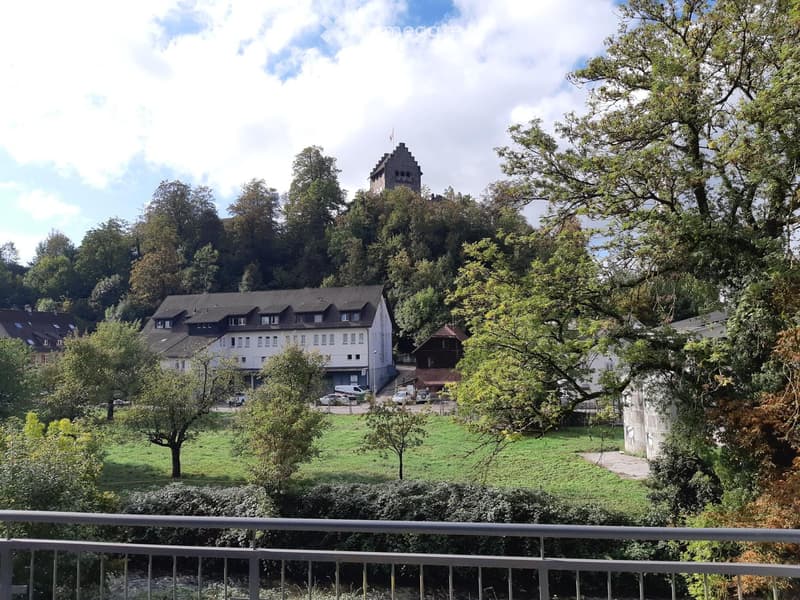 View of a historic building complex surrounded by trees and greenery, with a prominent tower and multiple structures visible.