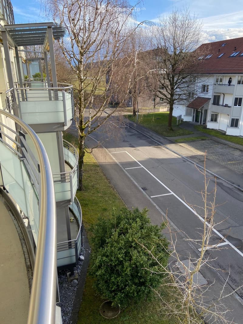 View from a balcony with a metal railing, showing a street with a tree and a plant.