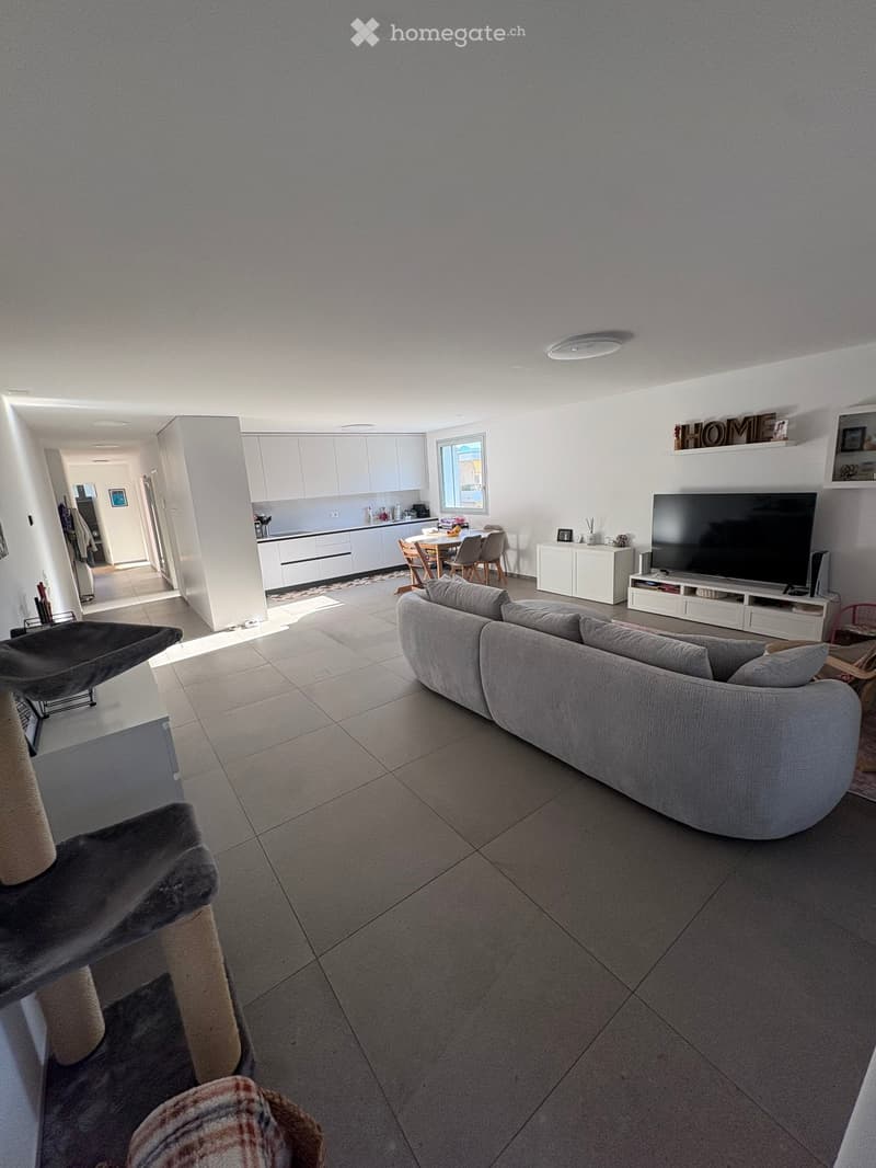 Open-plan living and dining area with a grey sectional sofa, a cat tree, a TV stand, and a visible kitchen area with cabinets and a dining table.