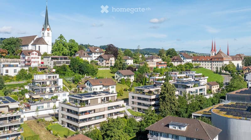 Aerial view of a town with a mix of residential and commercial buildings, surrounded by greenery and hills.