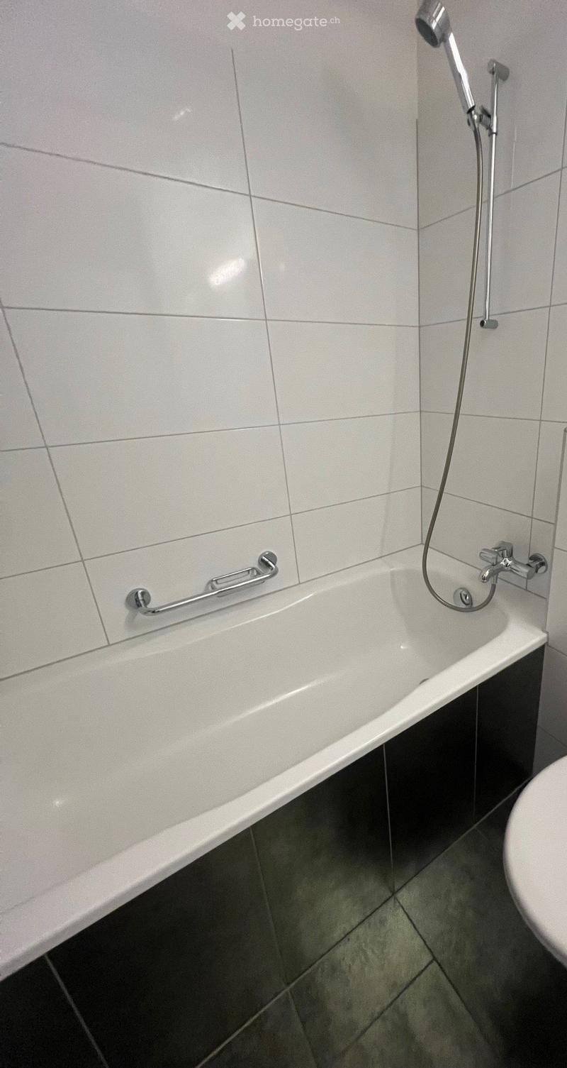 Bathtub with a modern chrome faucet and handheld showerhead, accompanied by a handrail for safety.