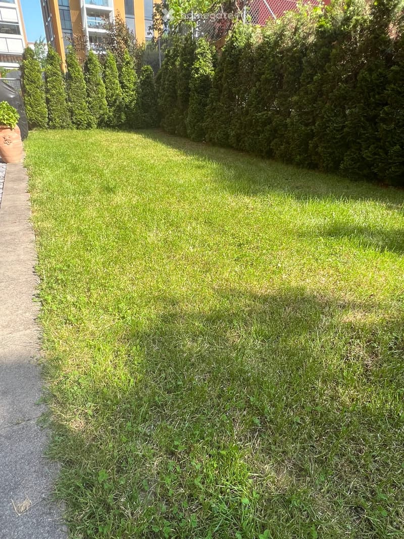 Well-maintained lawn with trimmed grass, surrounded by tall, neatly trimmed hedges and a paved pathway.