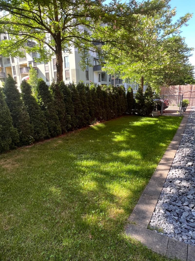 Well-maintained garden with a grassy area, a concrete pathway bordered by rocks, and a row of tall, neatly trimmed coniferous trees. A large tree provides shade, and a modern apartment building is visible in the background.