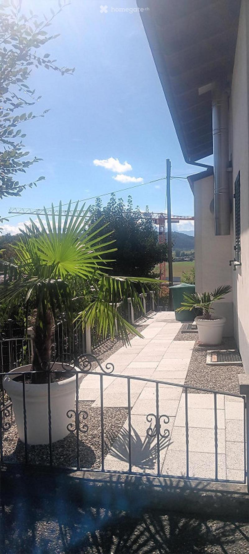 A small outdoor patio area with a white metal gate, potted plants, and a paved walkway leading to a building entrance.