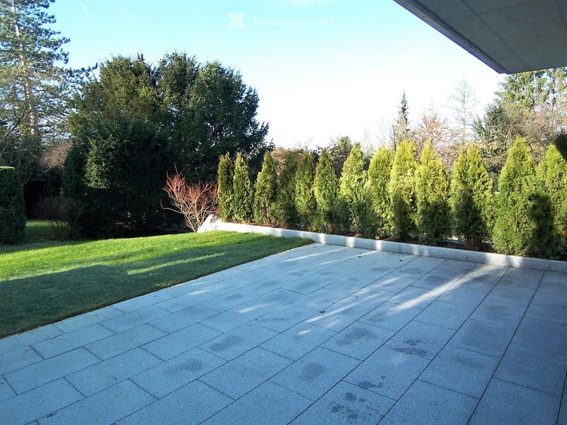 A spacious patio with large concrete tiles, bordered by a low concrete wall, adjacent to a well-maintained lawn and surrounded by tall, neatly trimmed evergreen trees.