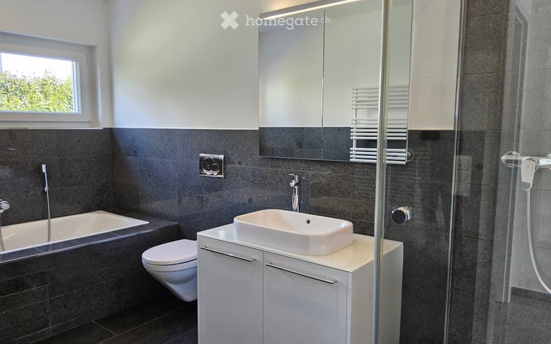 Modern bathroom with dark grey tiles, white fixtures, a bathtub, sink, toilet, mirror, and a glass-enclosed shower area.