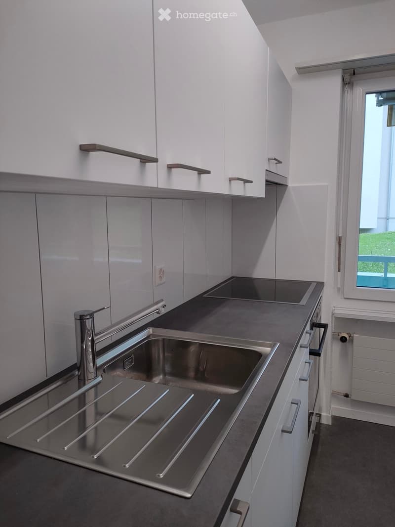 Modern kitchen with stainless steel sink, sleek faucet, and white cabinets.