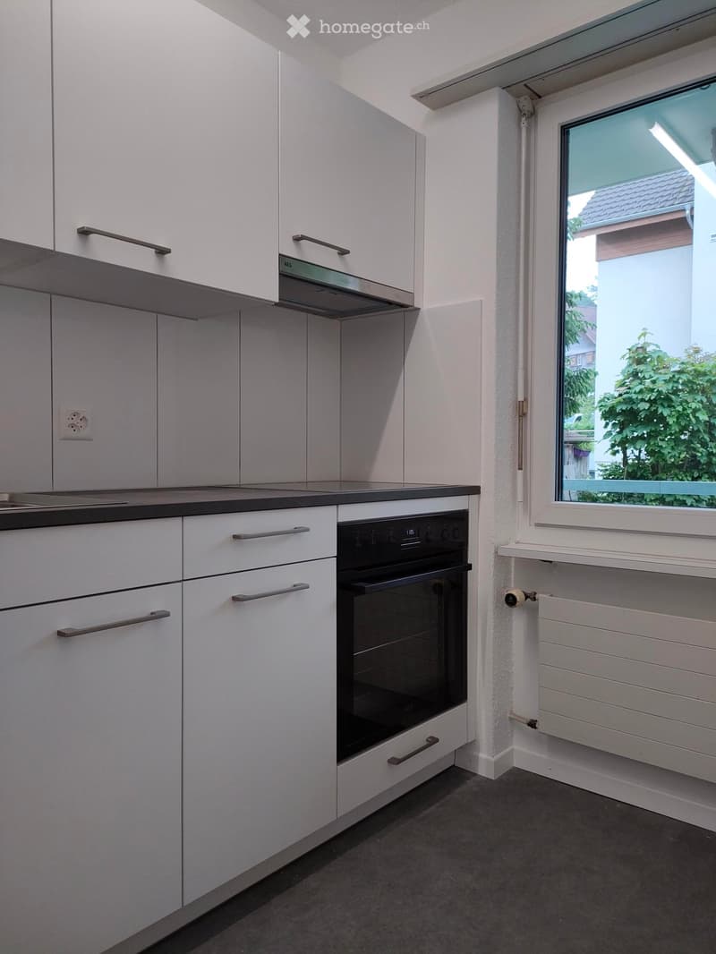Modern kitchen with white cabinets, stainless steel oven, and a window overlooking a garden.