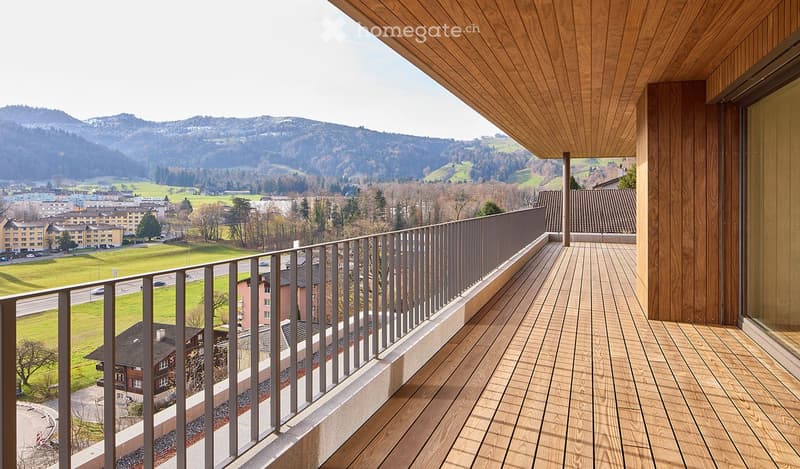 Metal railing, wooden floor, panoramic mountain view