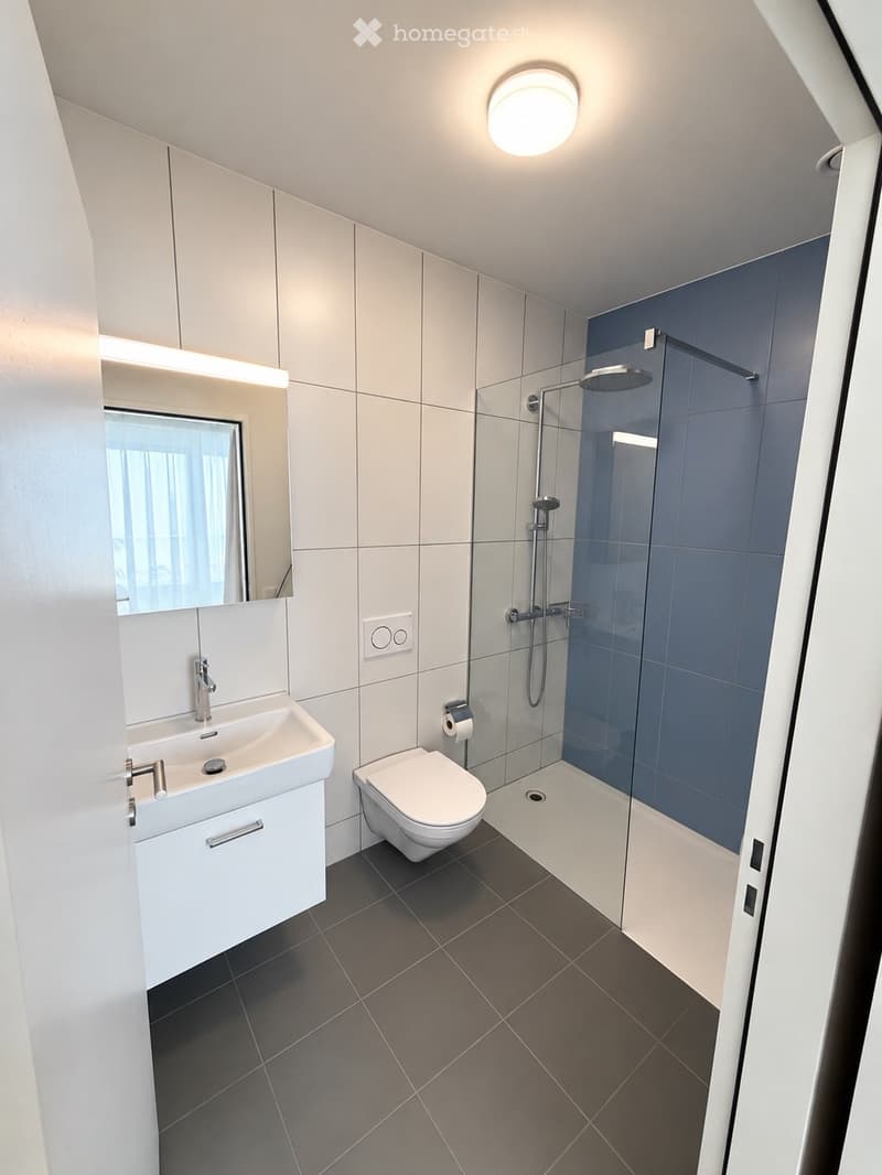 Modern bathroom with a white sink, toilet, mirror, and glass-enclosed shower with blue tiles. Features include a round ceiling light and dark grey tiled floor.