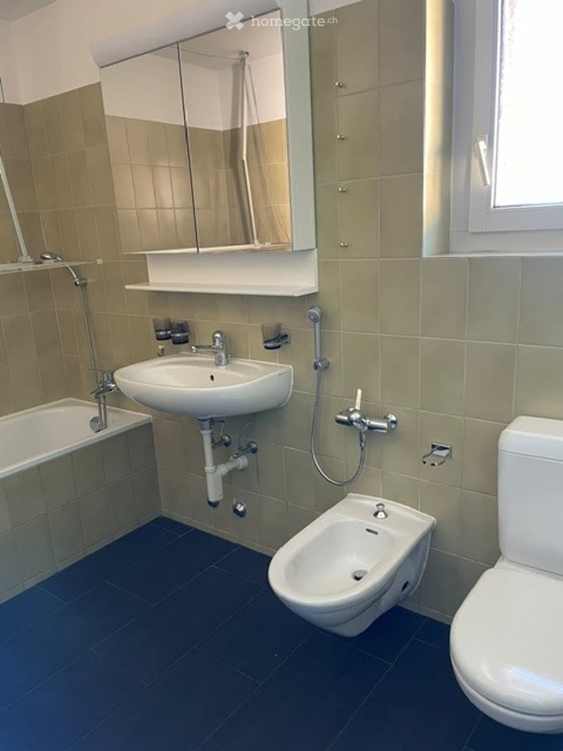 Modern bathroom with a white sink, bathtub, bidet, toilet, and a large mirror above the sink. The walls are tiled in beige and green, and the floor is blue.