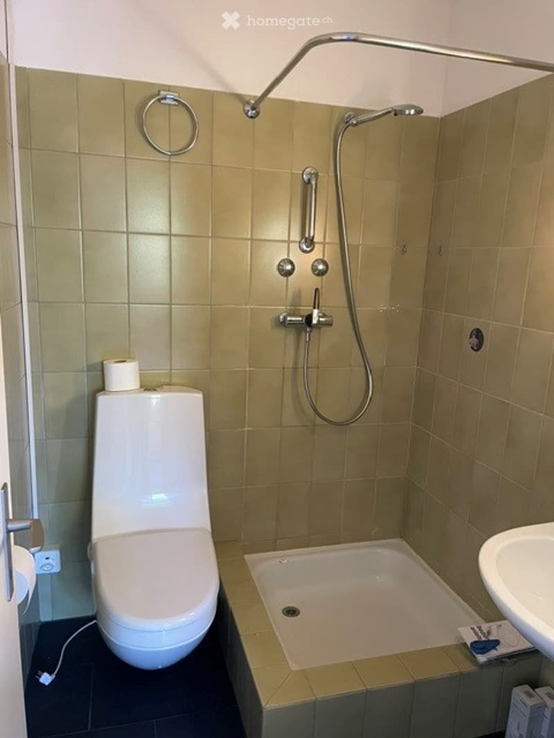 Modern bathroom with a toilet, shower, and sink. The shower features a handheld showerhead and a built-in seat. The walls are tiled in a light green color, and the floor is dark blue.