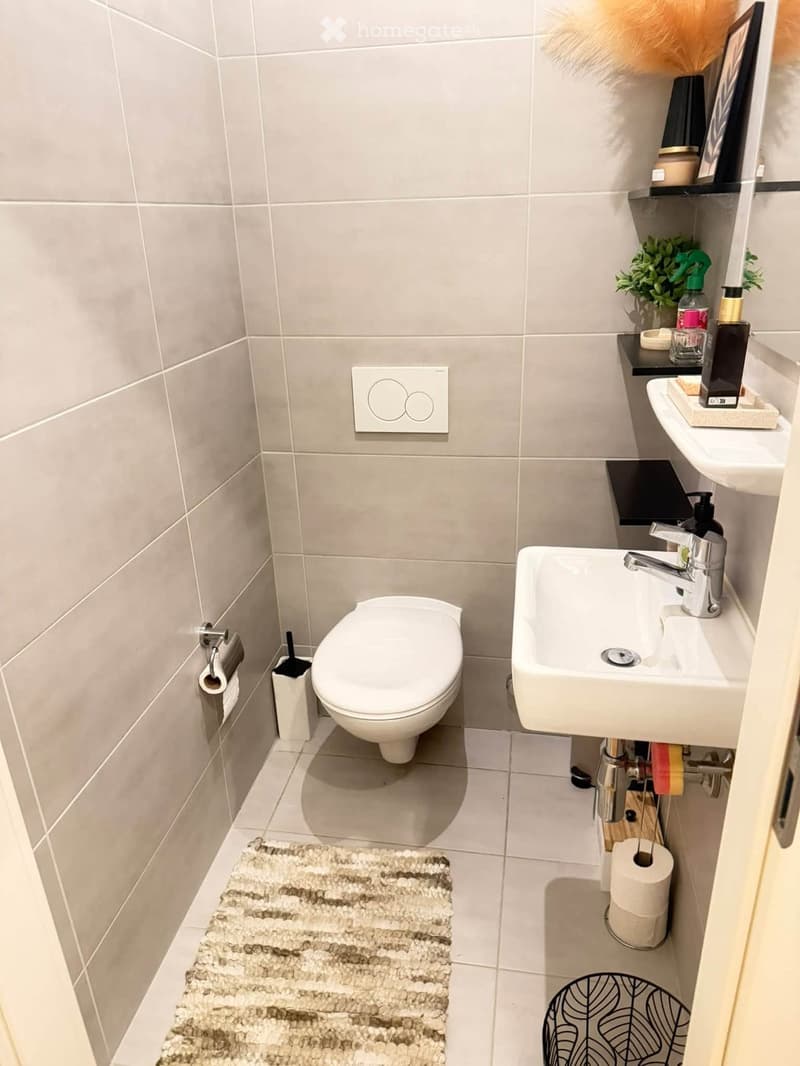 Modern bathroom with a toilet, sink, and various toiletries. Features a white sink with a chrome faucet, a toilet with a toilet paper holder, a small rug, and a shelf with a plant and bottles.
