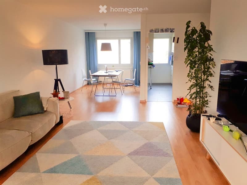 A modern living room with a sofa, coffee table, and a colorful rug. A dining area with a table and chairs is visible in the background, along with a large plant and a TV screen.