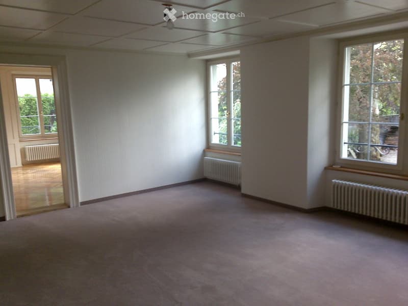 Empty room with white walls, carpeted floor, large windows, radiators, and a door leading to another space.