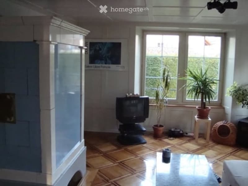 Living room with wooden parquet flooring, large windows, television, coffee table, potted plants, and a small stool.