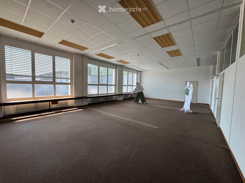 Empty room with large windows, carpeted floor, and white walls. No furniture or equipment present.