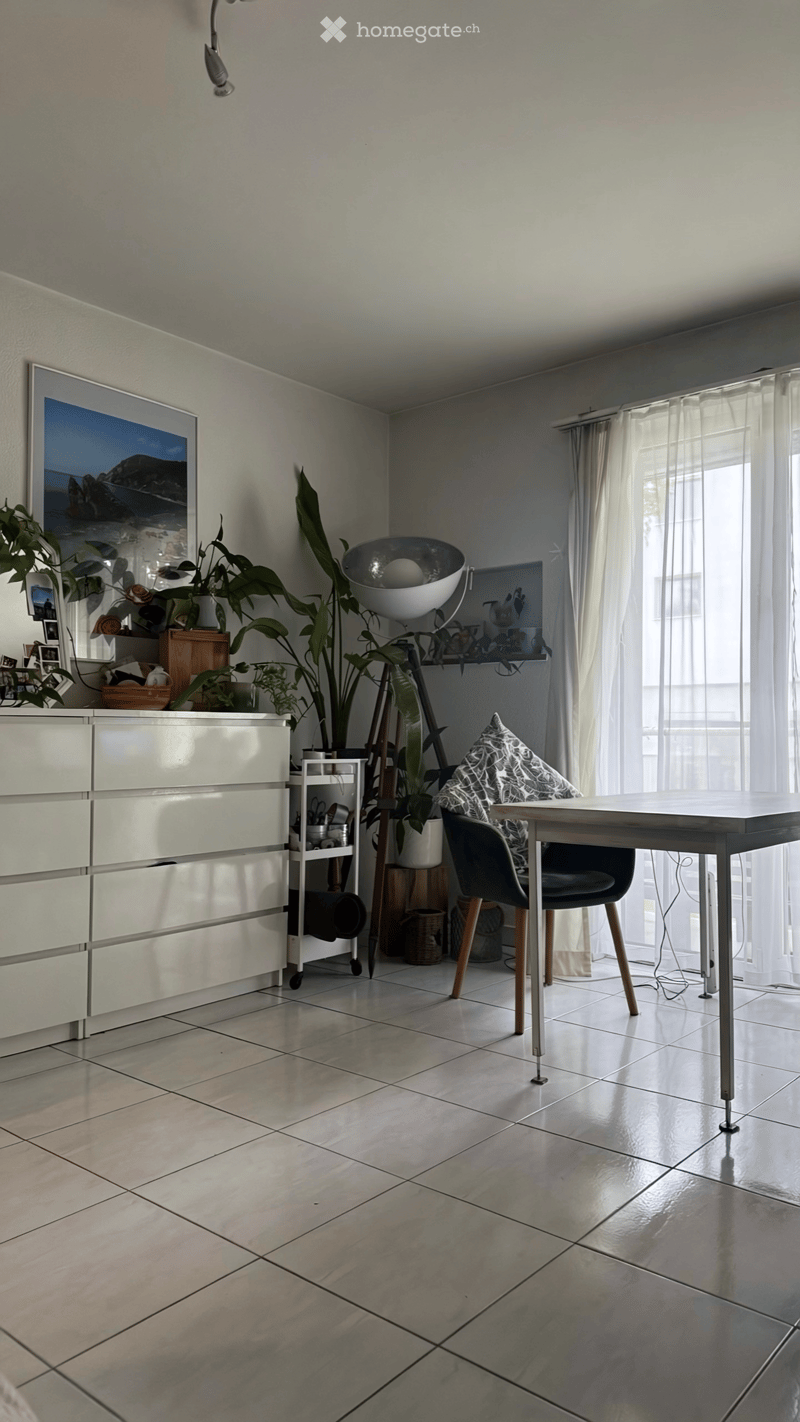 Modern, well-lit room with a large window, a sleek white cabinet, a round lamp, a chair, a table, and several potted plants.