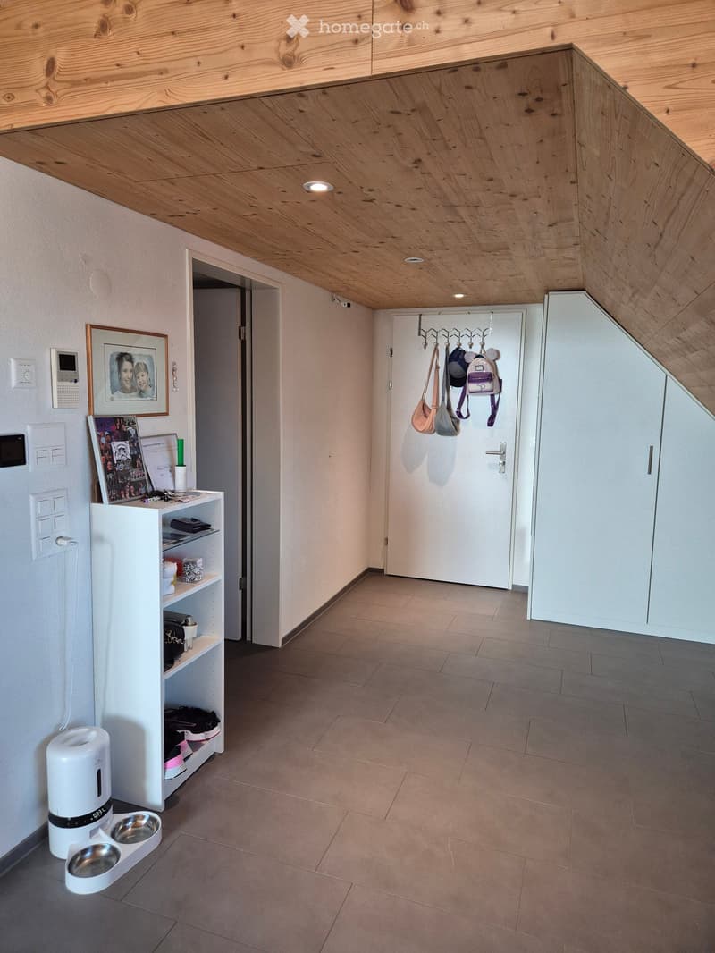 Modern hallway with wooden ceiling, tiled floor, white walls, and built-in shelving unit holding various items. A pet feeder is visible on the left side.