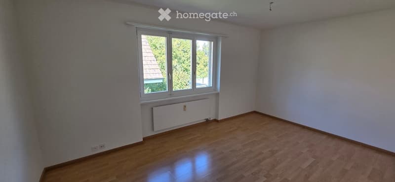 Empty room with wooden flooring, white walls, and a large window with white frame and radiator below.