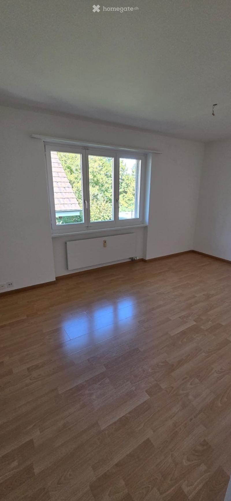 Empty room with wooden flooring, white walls, and large windows with white frames. A radiator is visible below the windows.