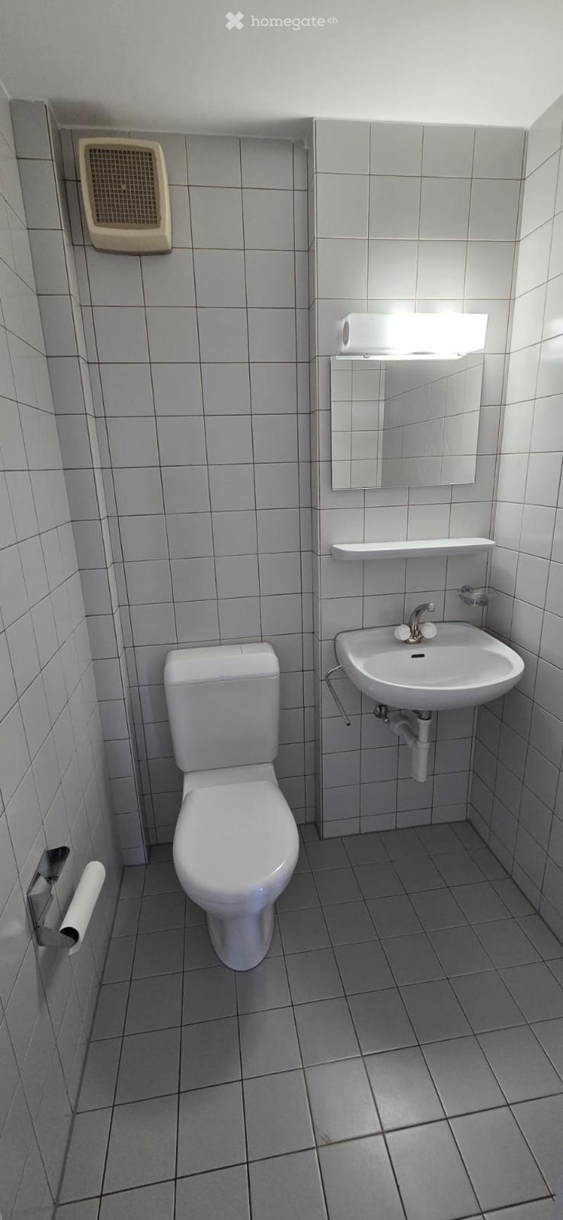Small bathroom with white tiled walls and floor, featuring a toilet, sink, mirror, and light fixture above the sink.