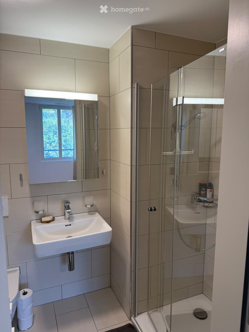 Modern bathroom with a white sink, mirror, toilet, and glass-enclosed shower. Features include a built-in shelf in the shower and a window above the sink.
