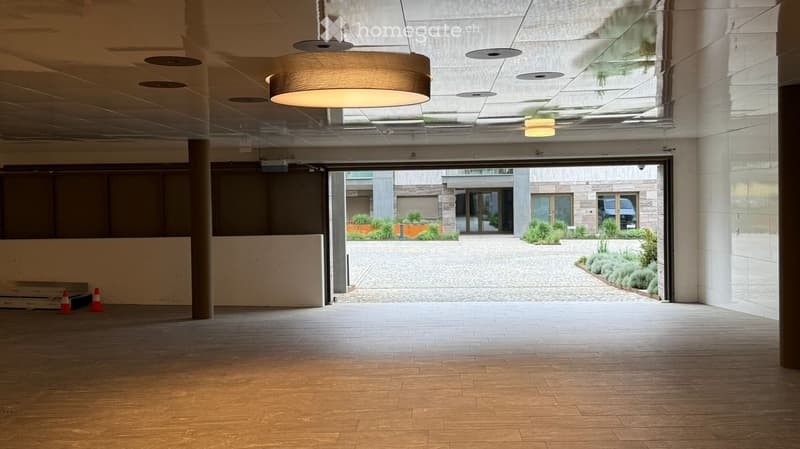 Empty hallway with wooden flooring, modern lighting fixtures, and a view of an outdoor courtyard with plants and a parked car.