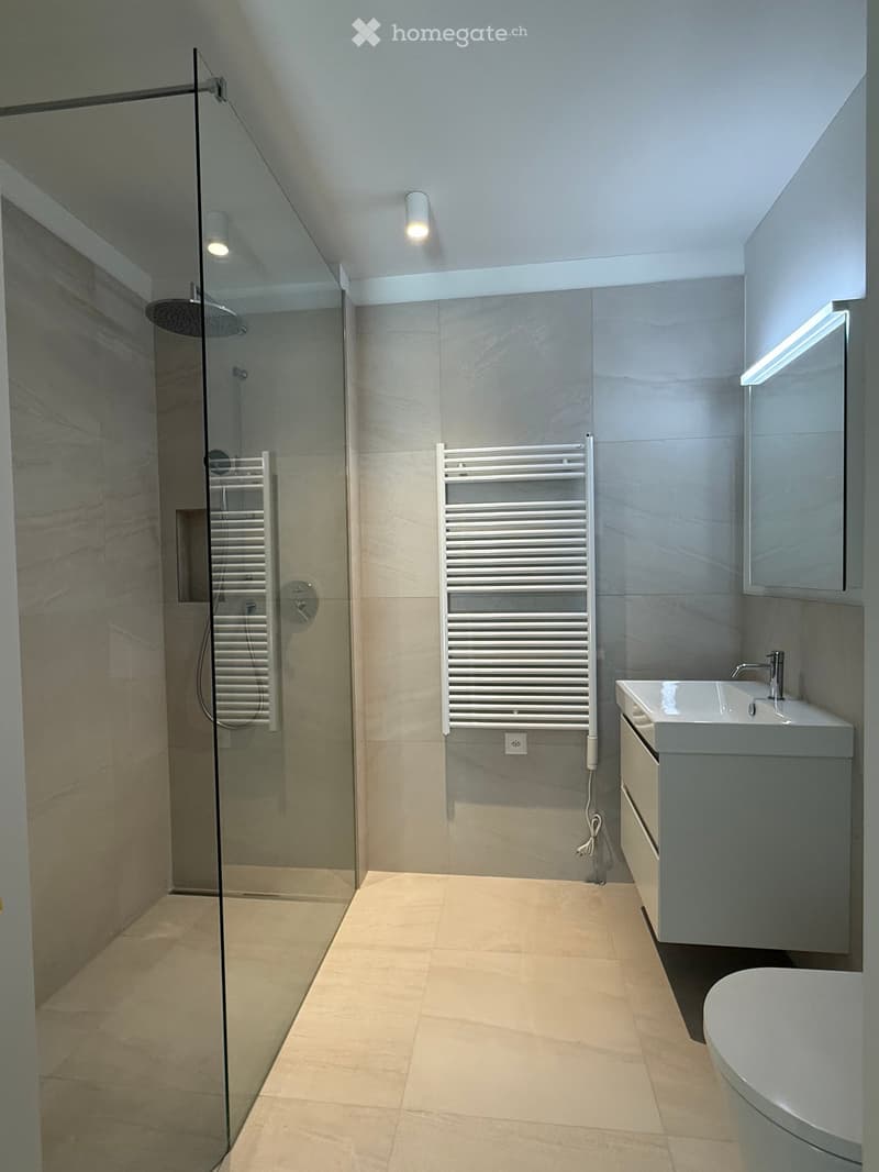 Modern bathroom with a glass-enclosed shower, a white sink with a modern faucet, a toilet, and two radiators, one inside the shower and one outside.