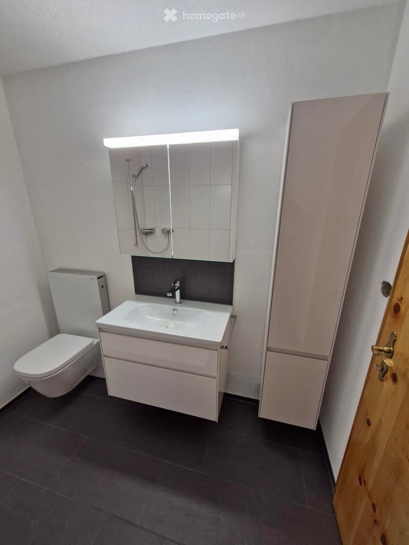 Modern bathroom with white sink, toilet, mirrored cabinet, and dark tiled floor.