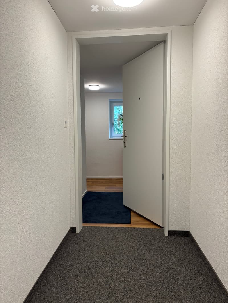 Empty hallway with white walls, carpeted floor, and a partially open door leading to another room with wooden flooring and a window.