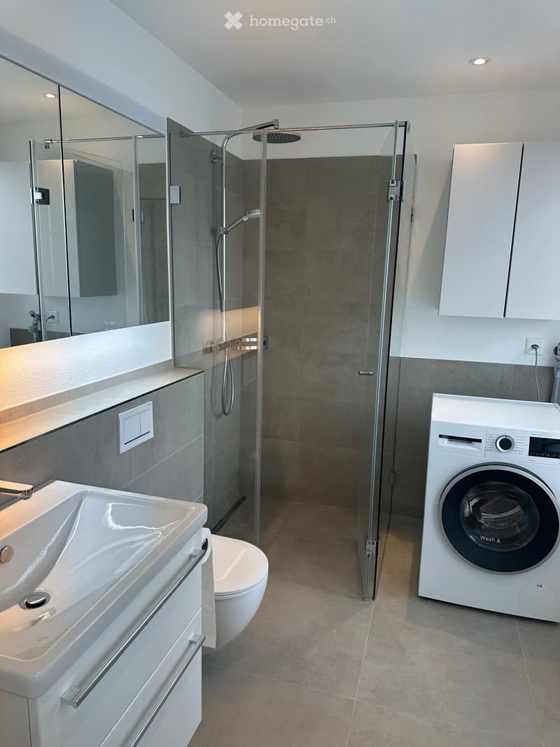 Modern bathroom with a white sink, toilet, glass-enclosed shower, and a private washing machine. Features include a large mirror and built-in cabinets.