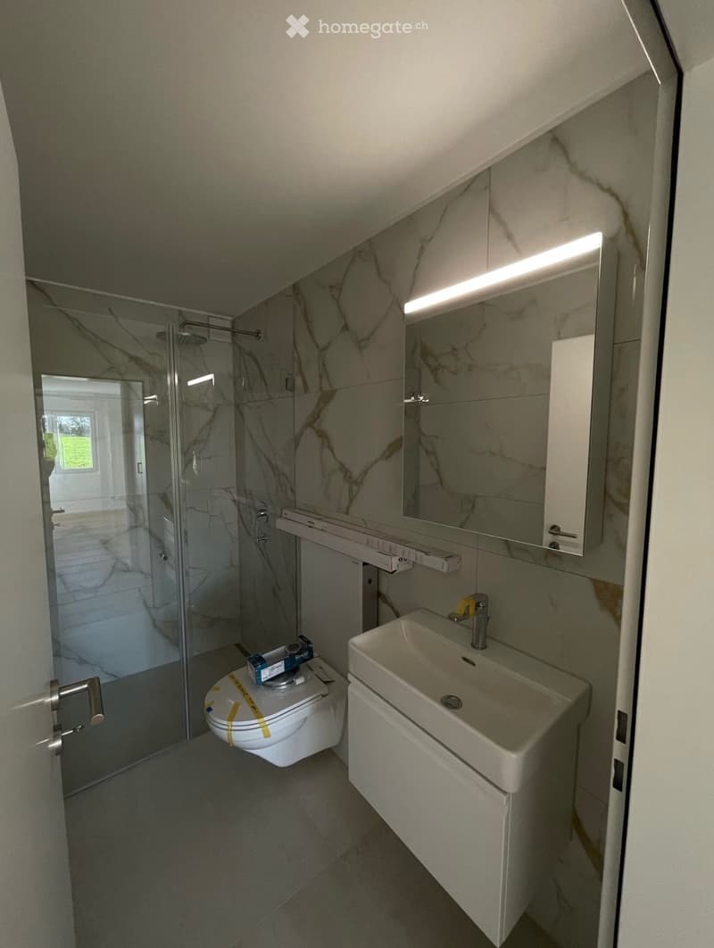 Modern bathroom with marble walls, a glass-enclosed shower, a sink with a modern faucet, and a toilet. Features include a large mirror with built-in lighting and a sleek cabinet.