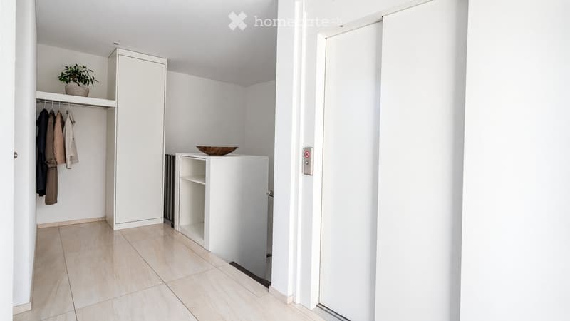 A modern, minimalist hallway with a built-in wardrobe, coat rack, small plant, and a decorative bowl on a shelf.