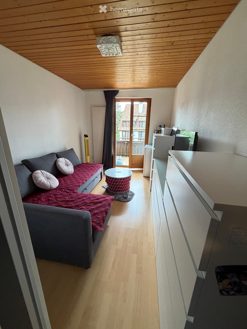 Compact living space with a sofa, small table, and kitchen area, featuring wooden flooring and a slanted wooden ceiling.